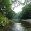 꽃별하얀 이미지