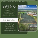 (주)행복한농장 이미지
