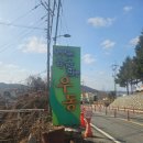 파주 맛집 송우현의 국물 없는 우동 오픈런 웨이팅 솔직후기