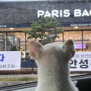 삼척동물병원