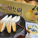 배감농장 | 명품 낙안 꿀 햇배 출하! 덕천농장 추석 명절 과일 선물세트 추천