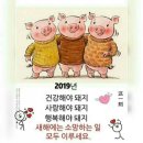 오토샵자동차용품 네이버블로그