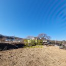 천하부동산공인중개사사무소 이미지