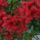 양지어린이집 이미지