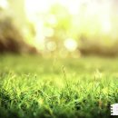 종교단체 자연장지 이미지