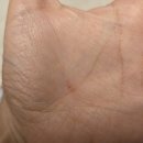 GS 제주보목점 이미지