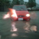 창원대로-2 이미지