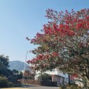 문화마을길 이미지