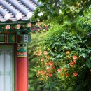 장성시내길 이미지