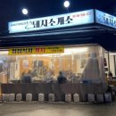돼지소개소 이미지