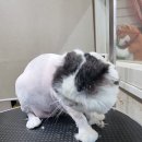 유스타 그루밍 이미지