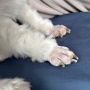 투썸플레이스 보령중앙점 이미지