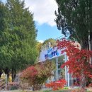 철원 평화마을 서울캠핑장 이미지