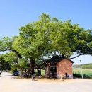 느티나무회관 이미지