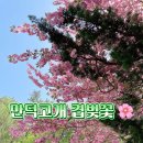 몽골이네분식