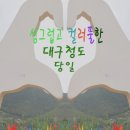 구영애여행