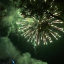 [부여 여행] 연꽃이 가득한 부여서동연꽃축제 다녀온 후기!
