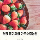 리더스클럽 합기도 바른교육관 | 담양 딸기체험 가로수길농원 합기도 활동