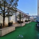 올리브골프연습장 이미지