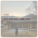 이른비스테이 | 경기도 양평 용문사 템플스테이 1박2일(2일차) 후기_경기도 템플스테이, 두물머리 연잎핫도그