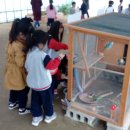 명주초병설유치원 이미지