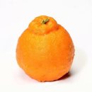 한석봉체육관 수영장 이미지