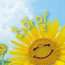 꽃핀다 이미지