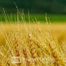 국립종자원전북지원 이미지