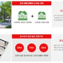 퍼스트플라워 이미지