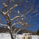 별빛동화 펜션 이미지