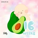 피오르의원 | 임신 16주 2차 기형아검사와 아기성장 검사 !