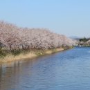 홍동면행정복지센터 이미지