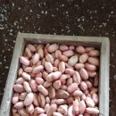 부여농장 이미지