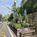 중앙동243 이미지