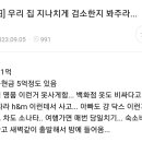 지나치게 검소하다 vs 아니다로 의견 갈리는 글 이미지