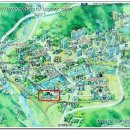 편대장영화식당 이미지