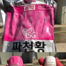 동화농약종묘사 이미지