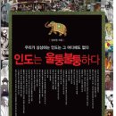 주식회사 내일날씨 이미지