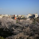 경기도청 이미지