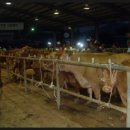 홍성한우직판장 이미지