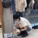 심청청국장 네이버블로그