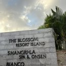 더블라썸 | 다낭 더 블라썸 마사지 샹그릴라 스파 힐링 후기