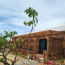 비채펜션 이미지