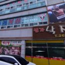 팀라이거복싱 이미지