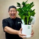 (주)승진 | 유스풀몰 꽃배달 후기 | 회사 동료 승진 선물로 급하게 꽃 찾다가