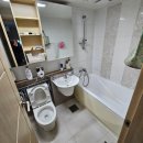 미진이지비아 이미지