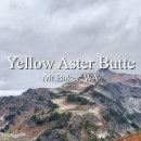 2025.09.27 Yellow Aster Butte 이미지
