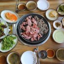 오리세상 이미지