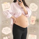 후둥 | 딸 쌍둥이 27주~31주까지의 일상