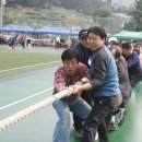 조선대학교부속고등학교 이미지